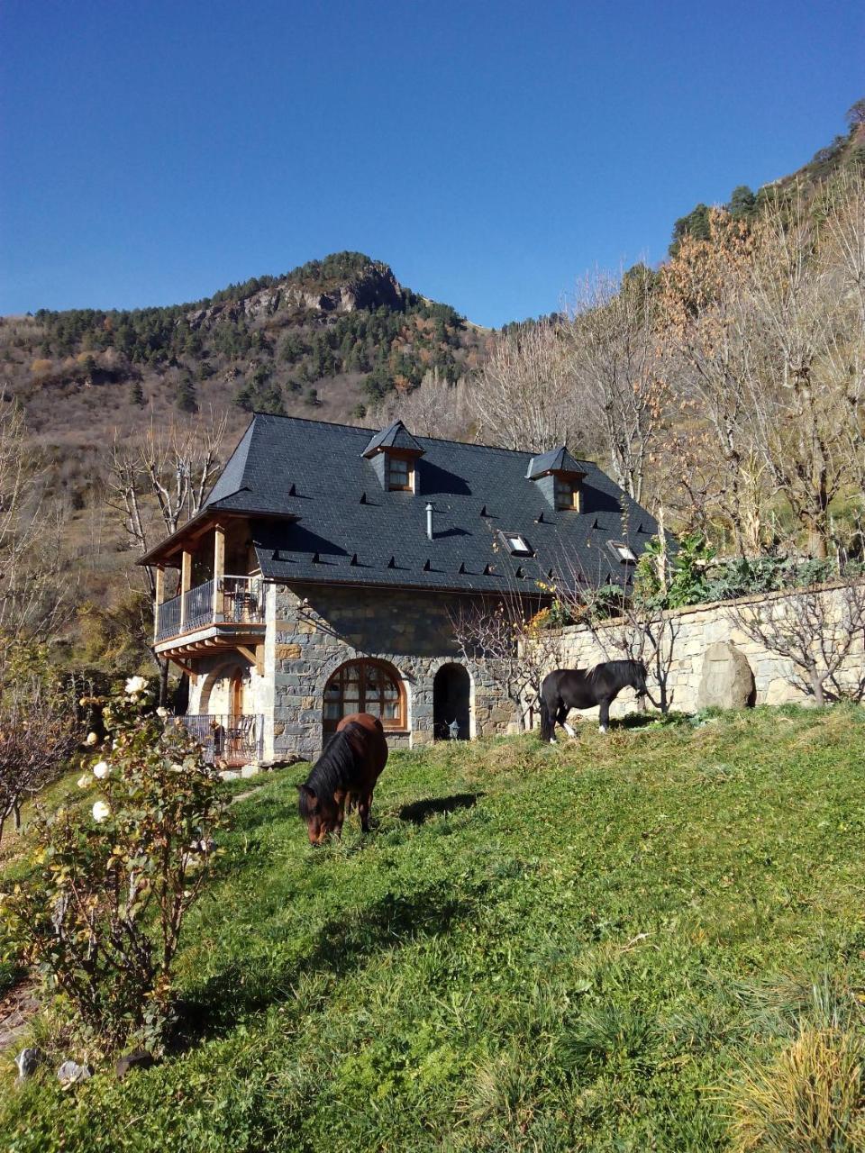Casa Rural Fontamil Gistaín エクステリア 写真